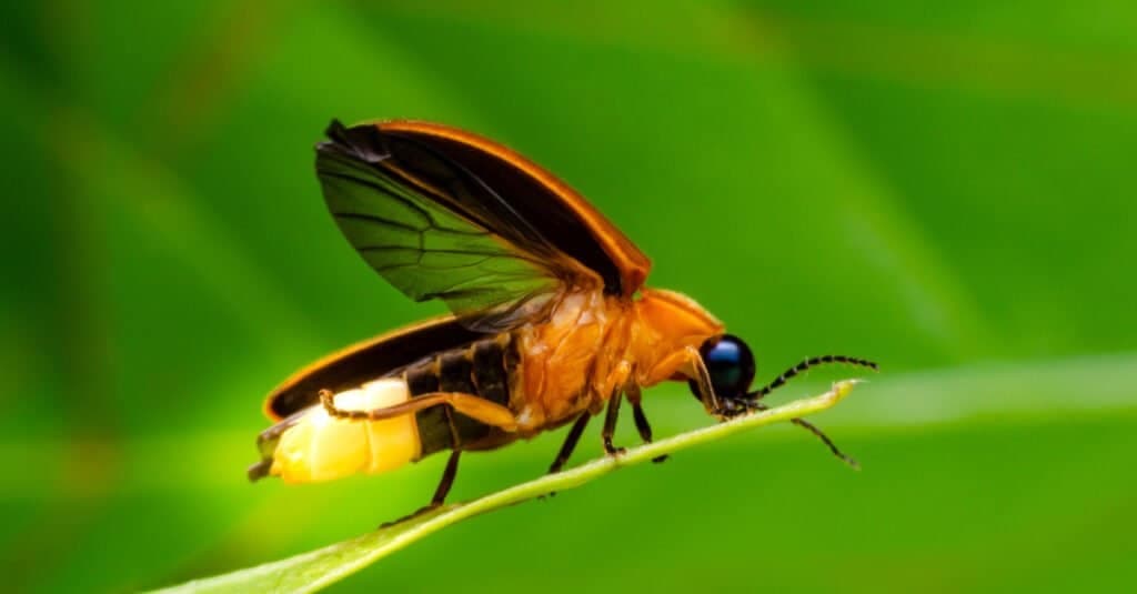69b0d7c01270cabee506dad8