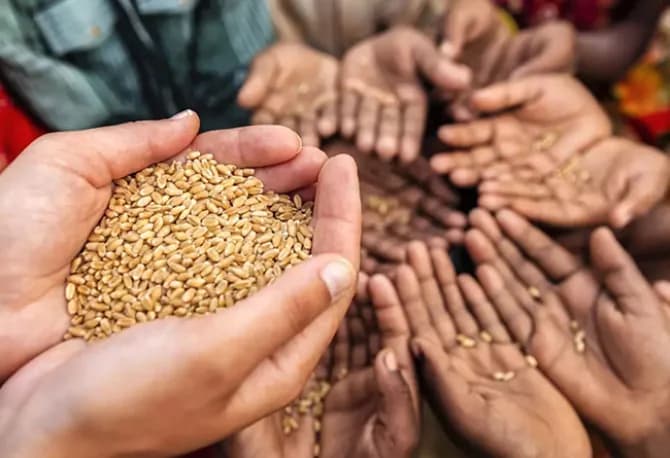 India's Food Security Policy Reformation
