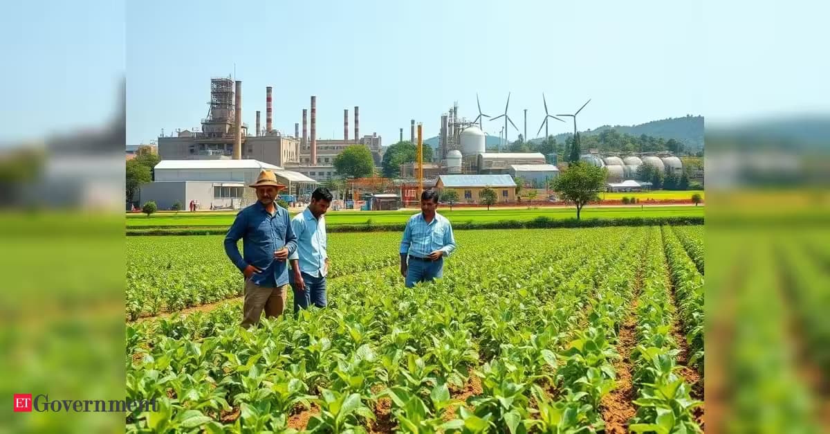 Digital Transformation in Cooperative Sector