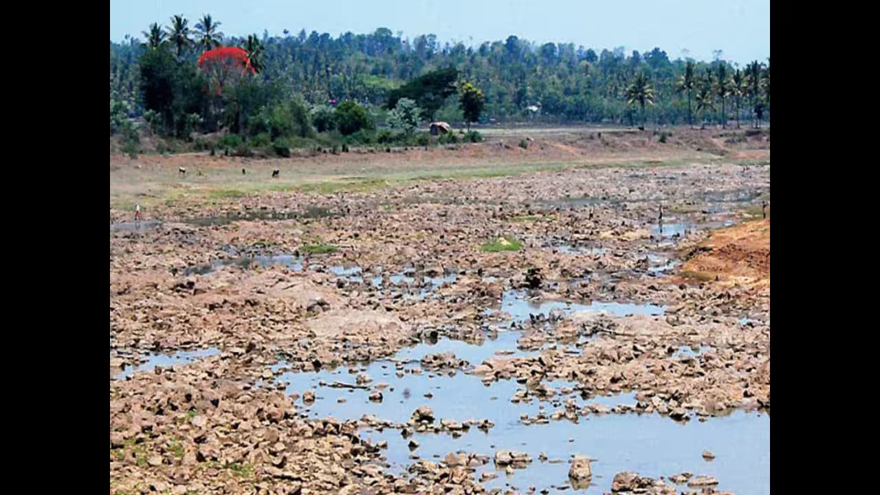 Urgent Action Needed for River Pollution