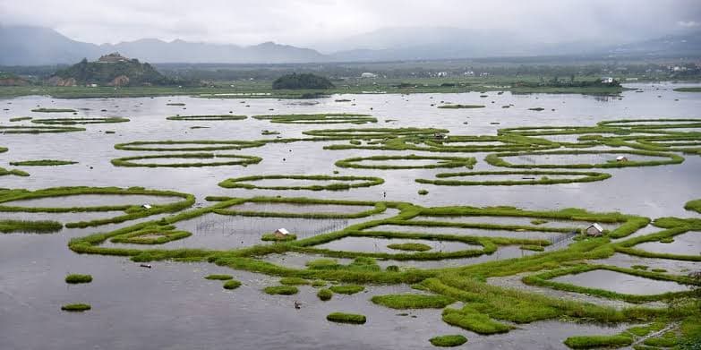 New Airport Plans and Wetlands Protection