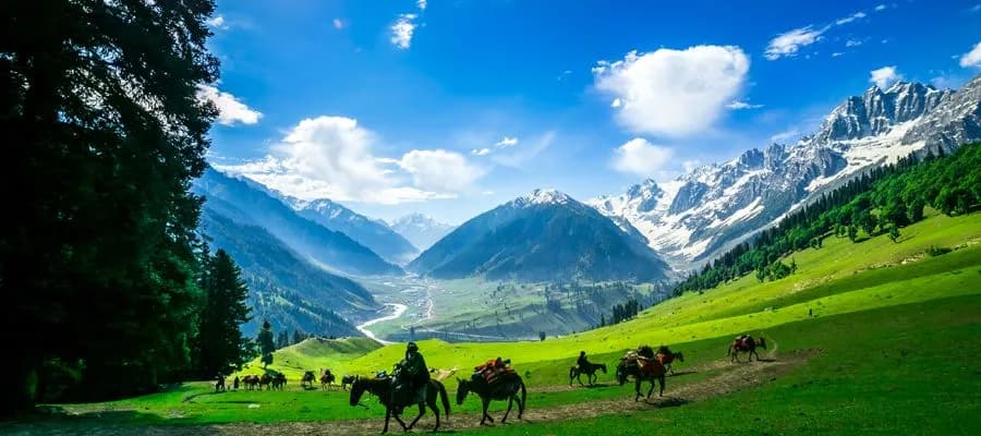Opportunities and Challenges in Jammu
