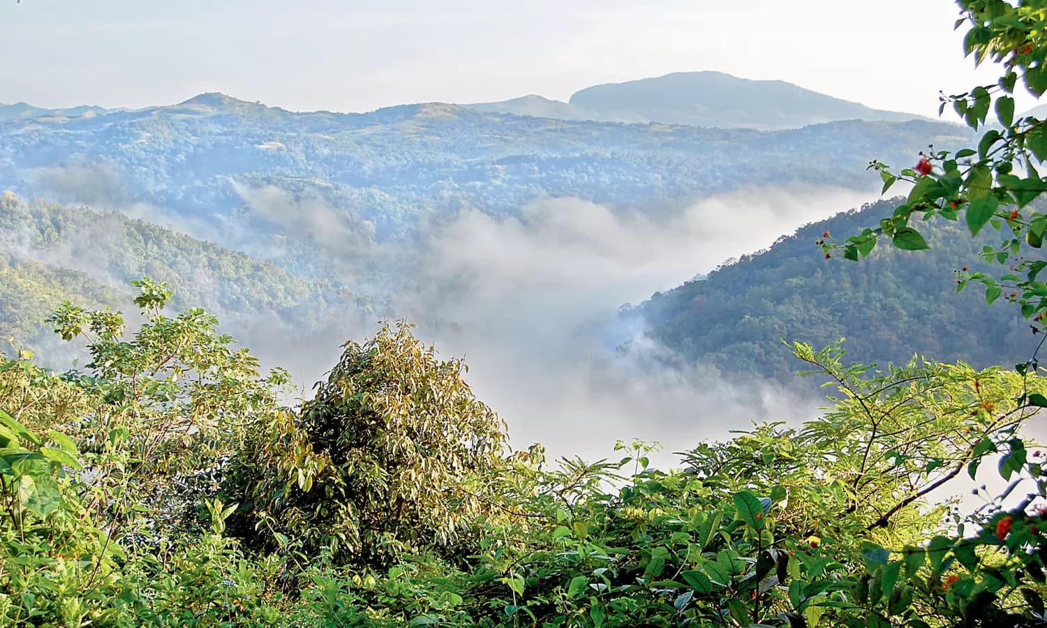 Karnataka Rejects Kasturirangan Report