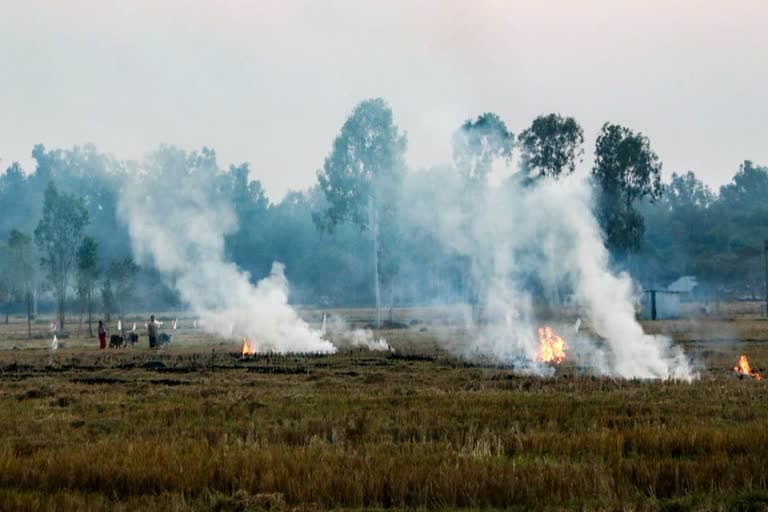 CPCB Deploys Squads Against Stubble Burning