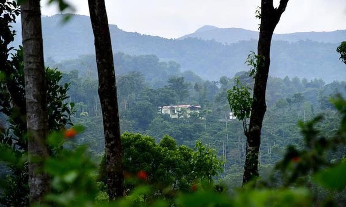 Action Against Illegal Resorts in Tiger Zones